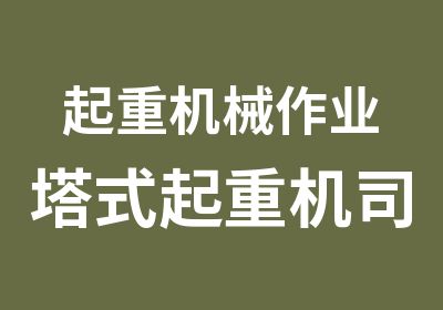 起重机械作业塔式起重机司机证