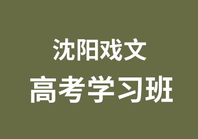 沈阳戏文高考学习班