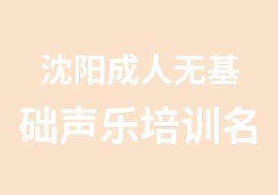 沈阳成人无基础声乐培训授课