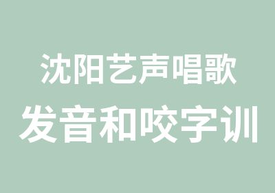 沈阳艺声唱歌发音和咬字训练