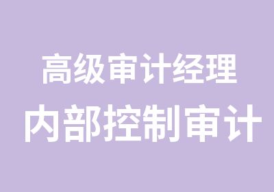 审计经理内部控制审计培训班