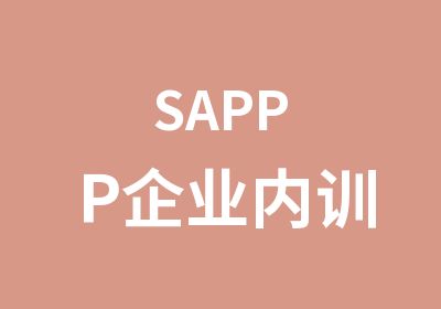SAPPP企业内训