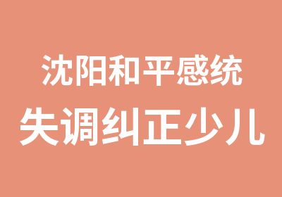 沈阳和平感统失调纠正少儿培训