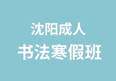 沈阳成人书法寒假班