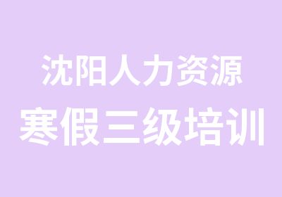 沈阳人力资源寒假三级培训