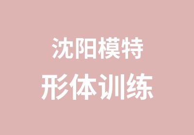 沈阳模特形体训练