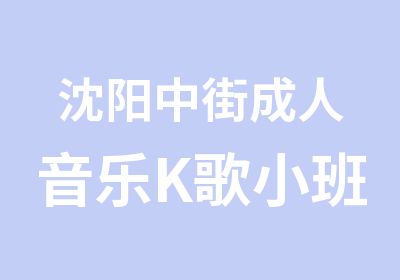 沈阳中街成人音乐K歌小班授课