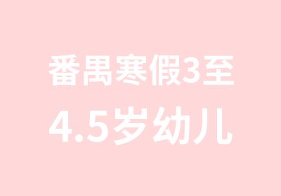 番禺寒假3至4.5岁幼儿感统训练中级班