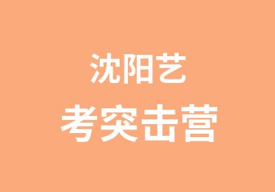 沈阳艺考突击营