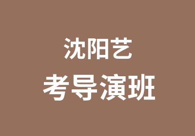 沈阳艺考导演班