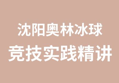 沈阳奥林冰球竞技实践精讲特训