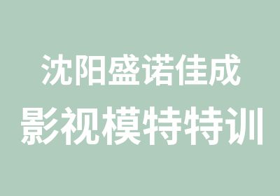 沈阳盛诺佳成影视模特特训