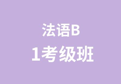 法语B1考级班