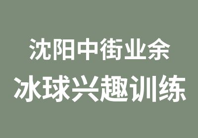 沈阳中街业余冰球兴趣训练班