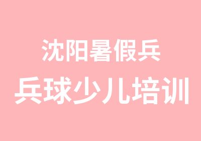 沈阳暑假兵兵球少儿培训