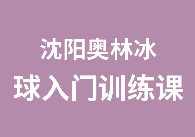 沈阳奥林冰球入门训练课