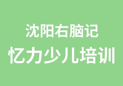 沈阳右脑记忆力少儿培训