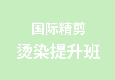 国际精剪烫染提升班