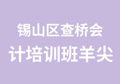 锡山区查桥会计培训班羊尖会计培训