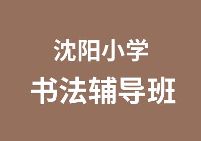 沈阳小学书法辅导班