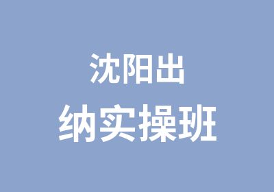 沈阳出纳实操班