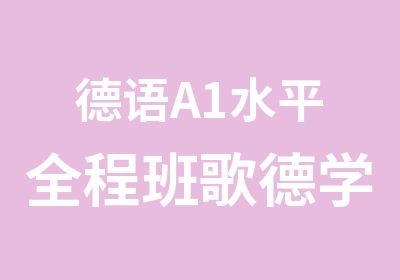 德语A1水平全程班歌德学院培训标准