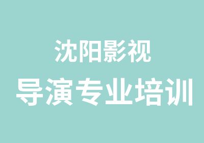 沈阳影视导演专业培训