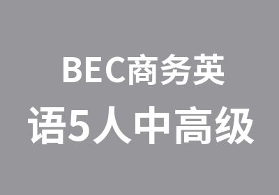 BEC商务英语5人中班