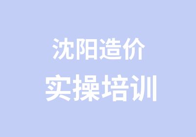 沈阳造价实操培训