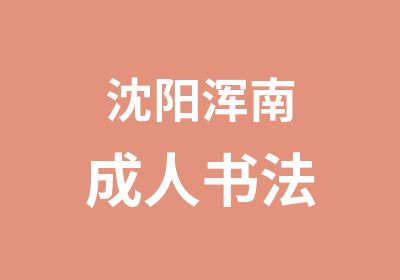 沈阳浑南成人书法