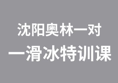 沈阳奥林滑冰特训课