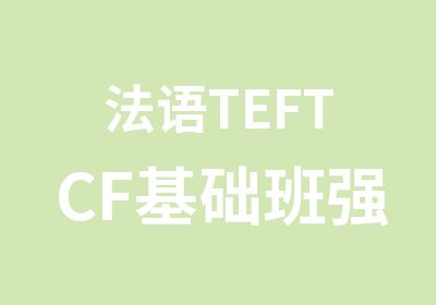 法语TEFTCF基础班强化班