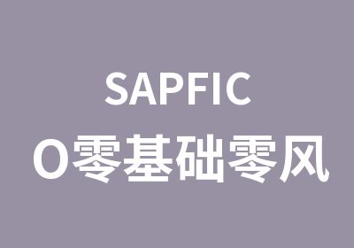 SAPFICO零基础班