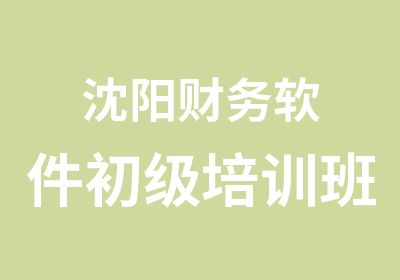 沈阳财务软件初级培训班