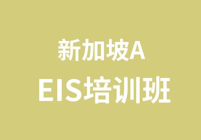 新加坡AEIS培训班