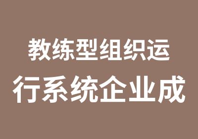 教练型组织运行系统企业成长系统解决方案供应商