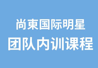 尚東国际明星团队内训课程