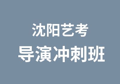 沈阳艺考导演冲刺班