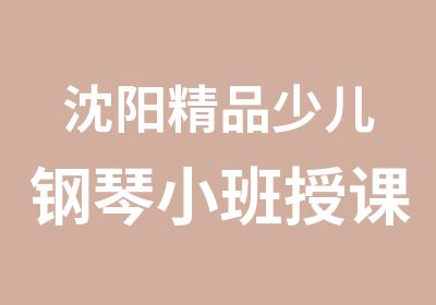 沈阳精品少儿钢琴小班授课