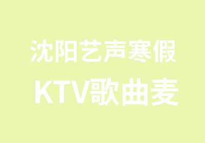 沈阳艺声寒假KTV歌曲麦霸培训班