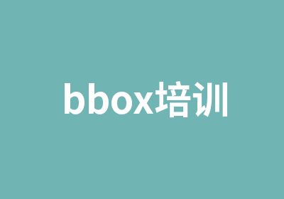 bbox培训