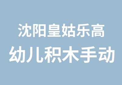 沈阳皇姑乐高幼儿积木手动搭建训练