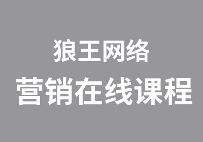 狼王网络营销在线课程