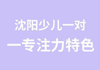 沈阳少儿专注力特色班