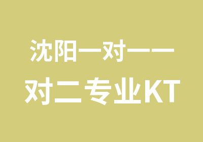 沈阳一对二专业KTV演唱教学课