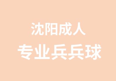 沈阳成人专业兵兵球