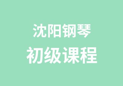 沈阳钢琴初级课程