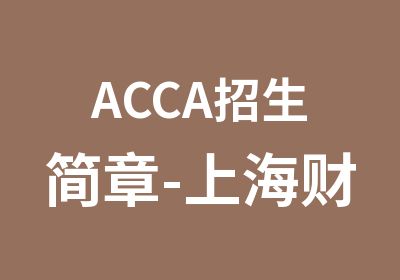 ACCA招生简章-上海财经大学ACCA寒暑期集训班
