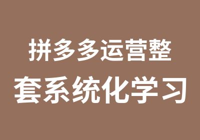 拼多多运营整套系统化学习课程