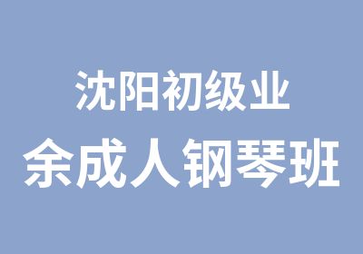 沈阳初级业余成人钢琴班